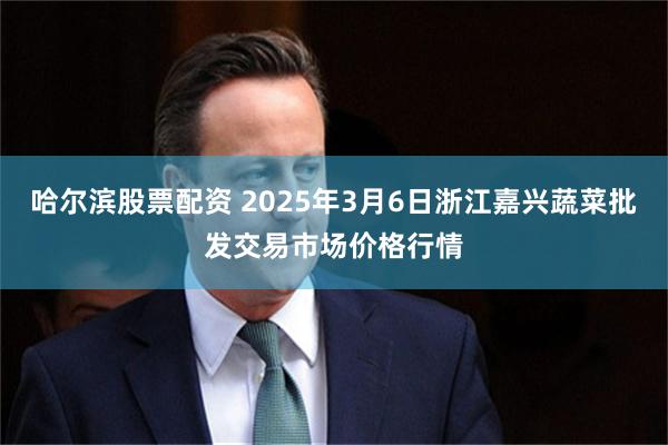 哈尔滨股票配资 2025年3月6日浙江嘉兴蔬菜批发交易市场价格行情