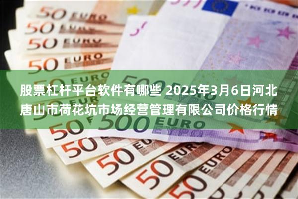 股票杠杆平台软件有哪些 2025年3月6日河北唐山市荷花坑市场经营管理有限公司价格行情