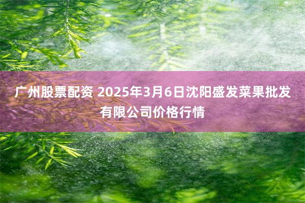 广州股票配资 2025年3月6日沈阳盛发菜果批发有限公司价格行情