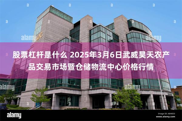 股票杠杆是什么 2025年3月6日武威昊天农产品交易市场暨仓储物流中心价格行情
