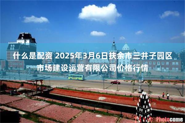 什么是配资 2025年3月6日扶余市三井子园区市场建设运营有限公司价格行情