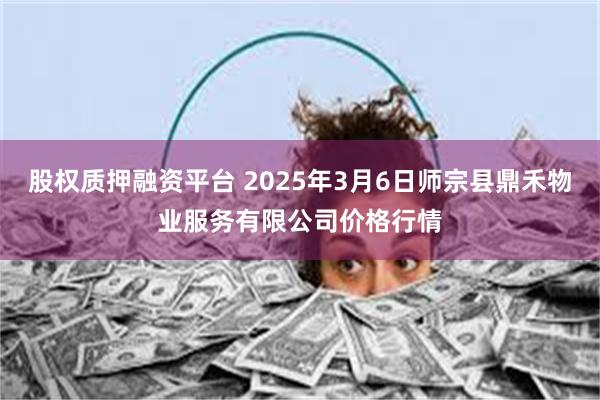 股权质押融资平台 2025年3月6日师宗县鼎禾物业服务有限公司价格行情