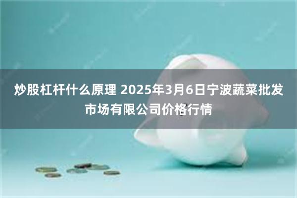 炒股杠杆什么原理 2025年3月6日宁波蔬菜批发市场有限公司价格行情