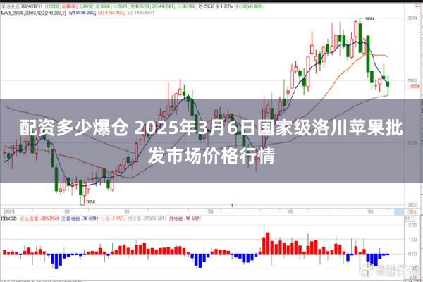 配资多少爆仓 2025年3月6日国家级洛川苹果批发市场价格行情