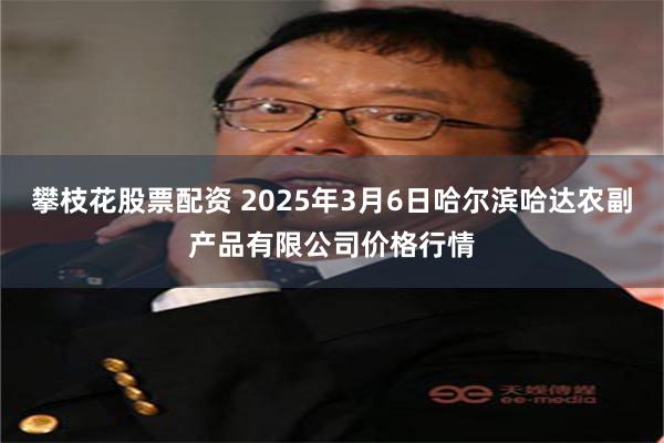攀枝花股票配资 2025年3月6日哈尔滨哈达农副产品有限公司价格行情