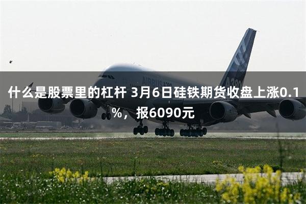 什么是股票里的杠杆 3月6日硅铁期货收盘上涨0.1%，报6090元