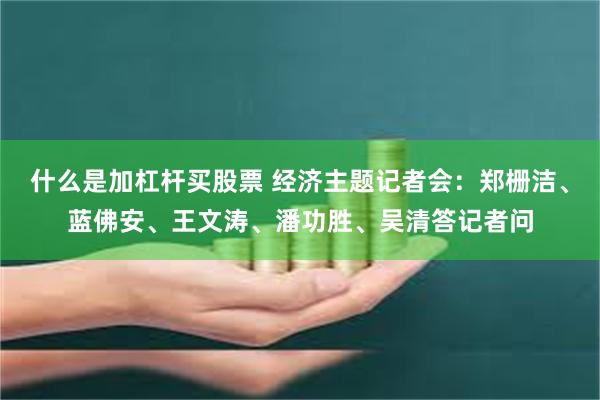 什么是加杠杆买股票 经济主题记者会：郑栅洁、蓝佛安、王文涛、潘功胜、吴清答记者问