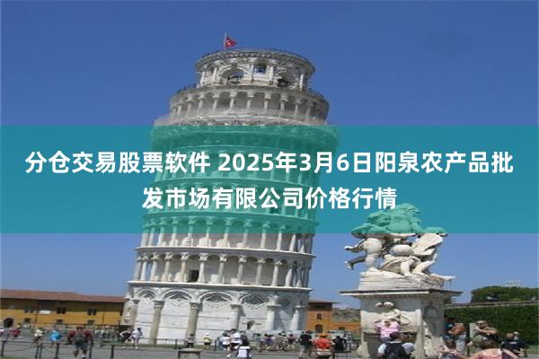 分仓交易股票软件 2025年3月6日阳泉农产品批发市场有限公司价格行情