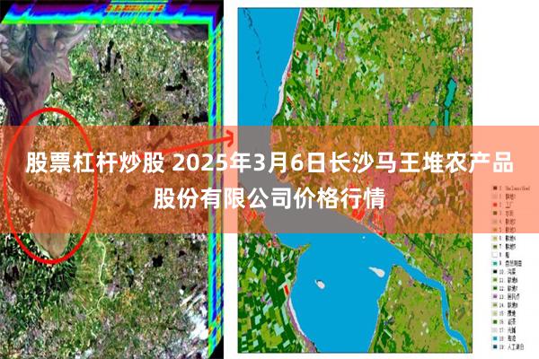 股票杠杆炒股 2025年3月6日长沙马王堆农产品股份有限公司价格行情