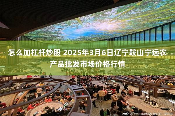 怎么加杠杆炒股 2025年3月6日辽宁鞍山宁远农产品批发市场价格行情