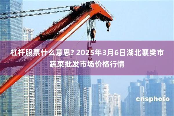 杠杆股票什么意思? 2025年3月6日湖北襄樊市蔬菜批发市场价格行情