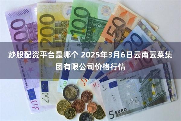 炒股配资平台是哪个 2025年3月6日云南云菜集团有限公司价格行情