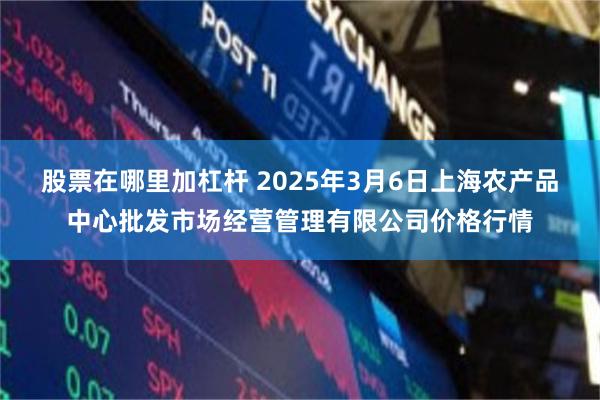 股票在哪里加杠杆 2025年3月6日上海农产品中心批发市场经营管理有限公司价格行情