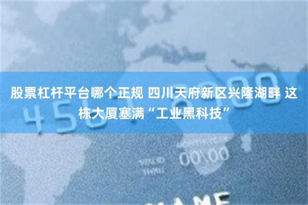 股票杠杆平台哪个正规 四川天府新区兴隆湖畔 这栋大厦塞满“工业黑科技”