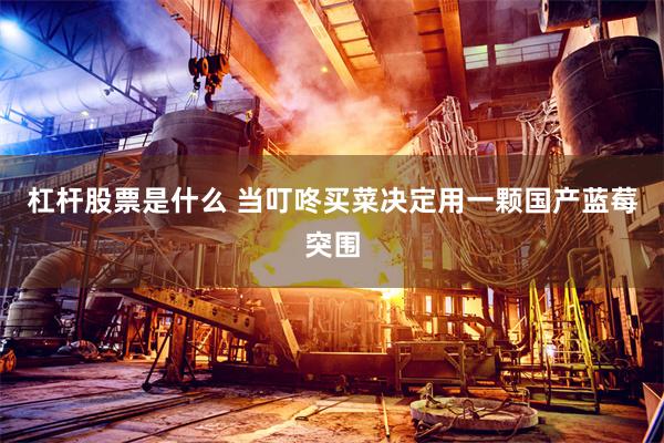 杠杆股票是什么 当叮咚买菜决定用一颗国产蓝莓突围