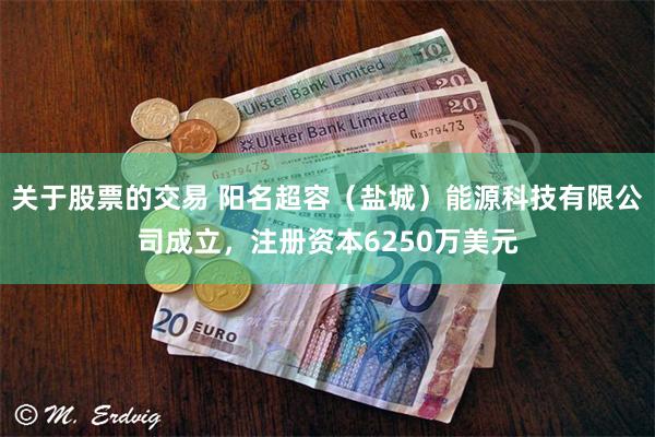 关于股票的交易 阳名超容（盐城）能源科技有限公司成立，注册资本6250万美元