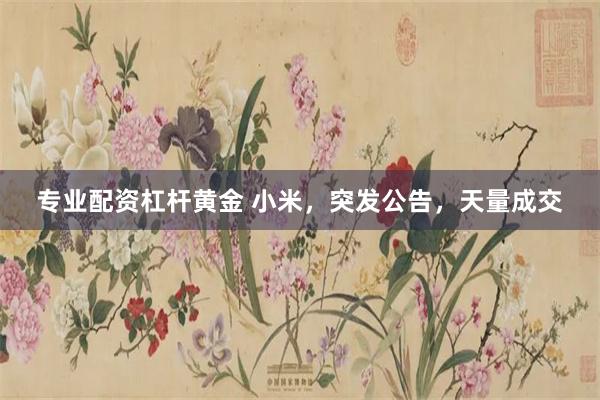 专业配资杠杆黄金 小米，突发公告，天量成交