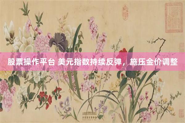股票操作平台 美元指数持续反弹，施压金价调整