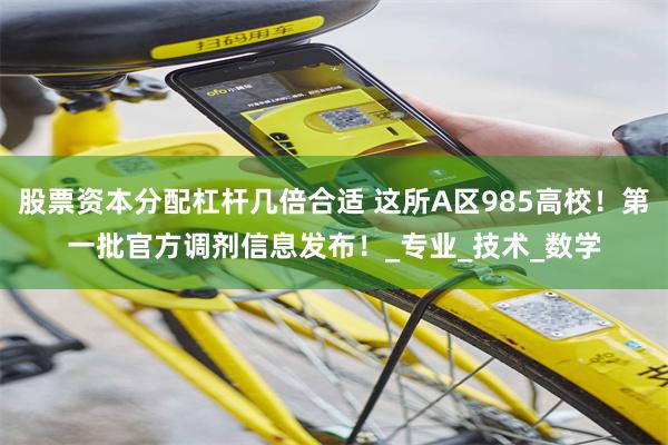 股票资本分配杠杆几倍合适 这所A区985高校！第一批官方调剂信息发布！_专业_技术_数学