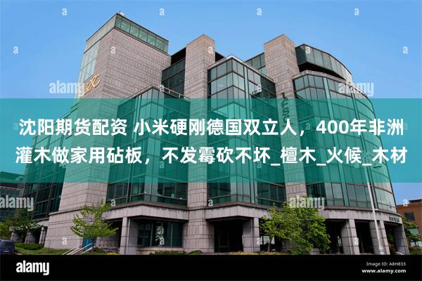 沈阳期货配资 小米硬刚德国双立人，400年非洲灌木做家用砧板，不发霉砍不坏_檀木_火候_木材
