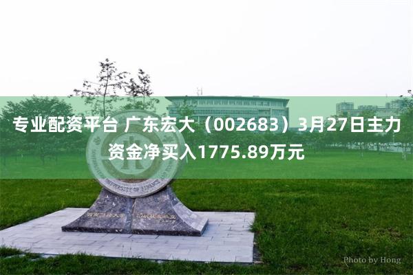 专业配资平台 广东宏大（002683）3月27日主力资金净买入1775.89万元