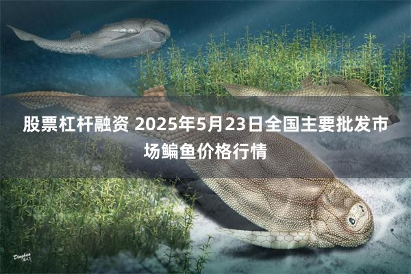 股票杠杆融资 2025年5月23日全国主要批发市场鳊鱼价格行情