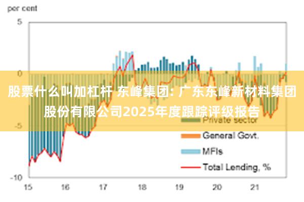股票什么叫加杠杆 东峰集团: 广东东峰新材料集团股份有限公司2025年度跟踪评级报告