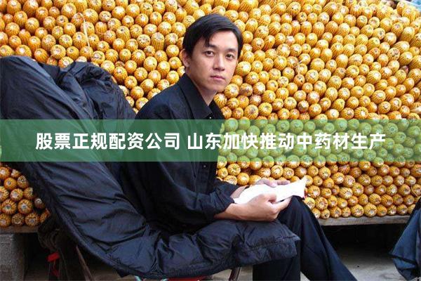 股票正规配资公司 山东加快推动中药材生产