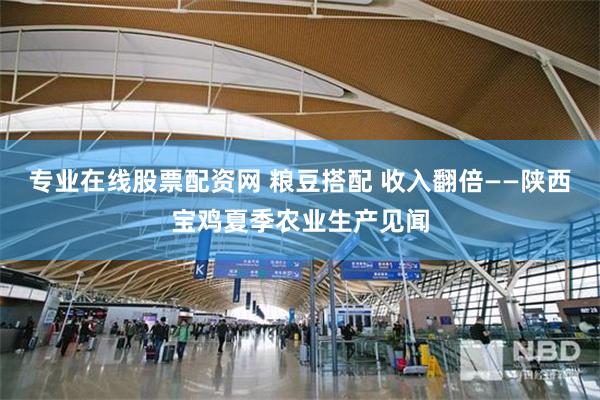 专业在线股票配资网 粮豆搭配 收入翻倍——陕西宝鸡夏季农业生产见闻