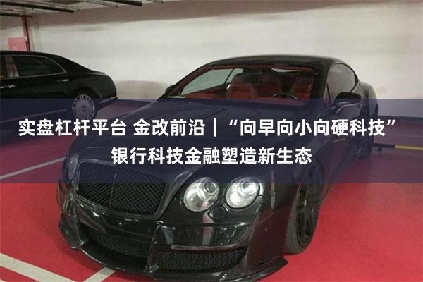 实盘杠杆平台 金改前沿｜“向早向小向硬科技” 银行科技金融塑造新生态
