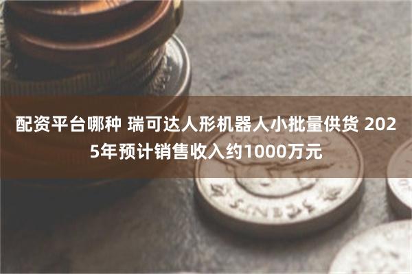 配资平台哪种 瑞可达人形机器人小批量供货 2025年预计销售收入约1000万元