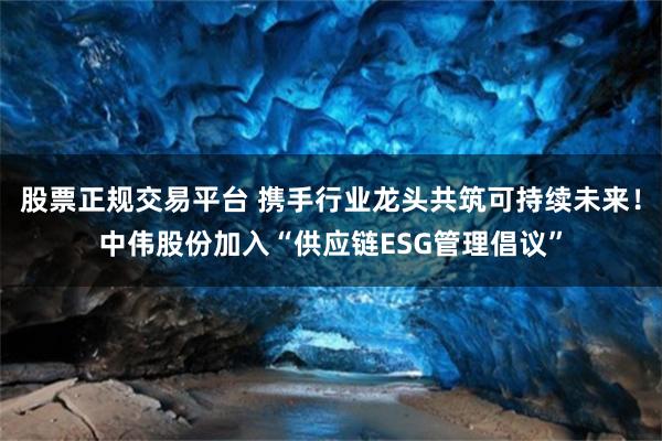 股票正规交易平台 携手行业龙头共筑可持续未来！中伟股份加入“供应链ESG管理倡议”